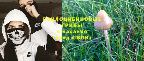 прущий лед Алзамай