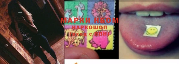 прущий лед Алзамай